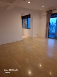Thomson Euro-asia (D11), Condominium #449560001